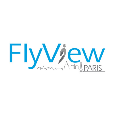Logo FLYVIEW PARIS